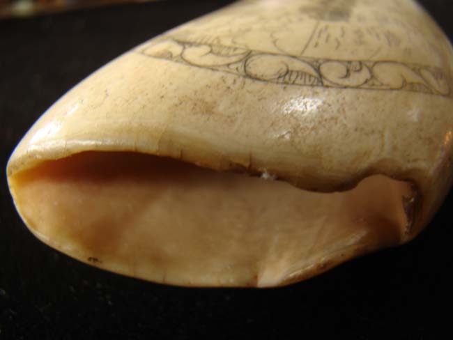 An attractive late 19th or early 20th century scrimshawed whale's tooth with US Navy theme — image 4
